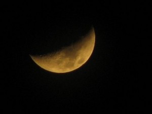 nature-dark-moon-night-photography