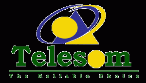 Telesom_Logo